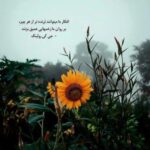 دانلود آهنگ به لحظه ی دیدار قسم میخورم
